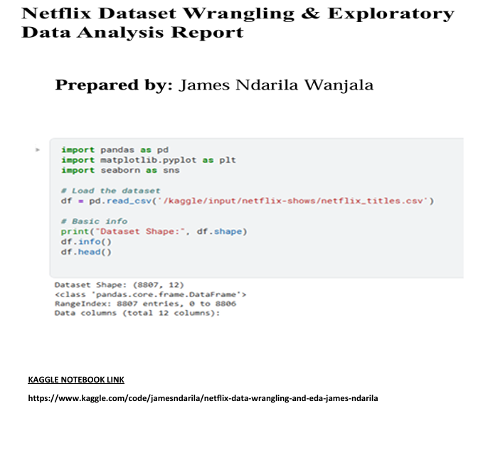 Netflix Project Screenshot