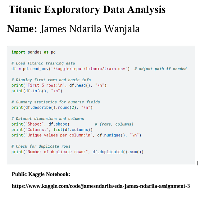 Titanic Project Screenshot